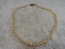 NAPIER Cream Glass Pearl Bead Necklace (D62)