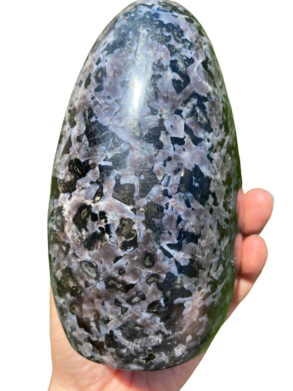 Foto 10 di 10