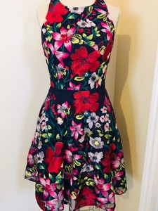 gianni bini floral dress