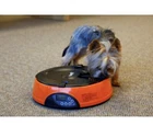 NIB Programmable Automatic Pet Feeder, for Dog, Cat & Small Pets,Voice Recording