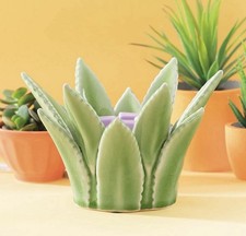 Scentsy Catcus Aloe Vera Full Size Warmer