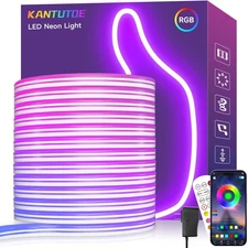 LED Neon Rope Lights 32 8 Ft RGB LED Light Strip 24V Music Sync App Remote Co...