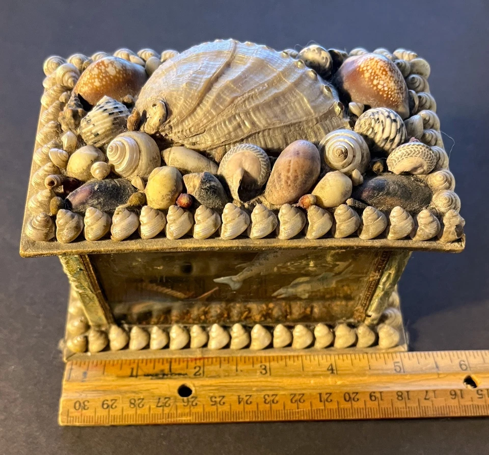 Caja de arte victoriana concha de San Valentín de marinero con diseño de acuario inusual Foto 2 de 4