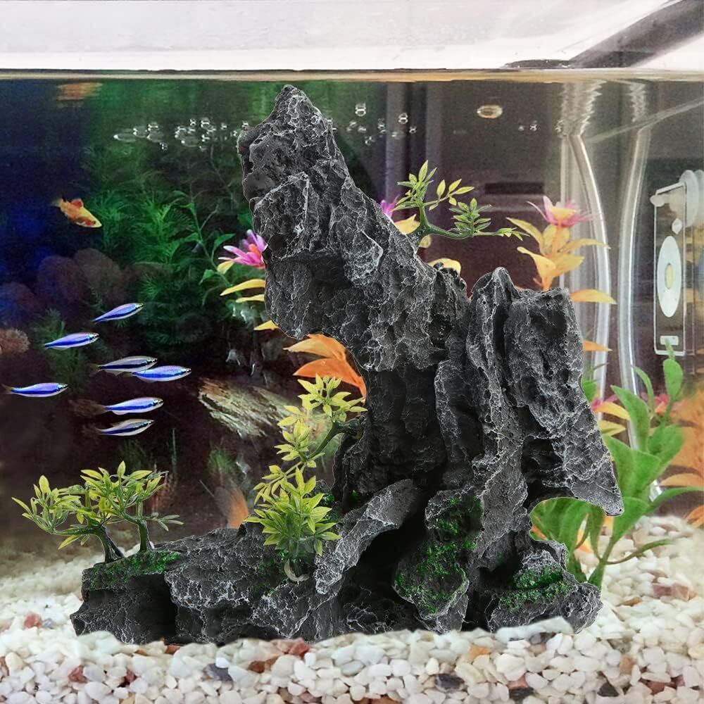 Picture 5 of 15