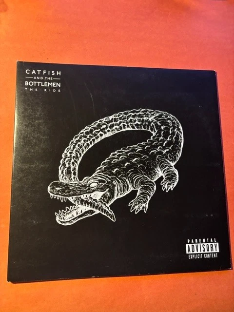 Catfish and the Bottlemen Vinyl Records for sale | eBay