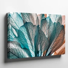 Close-up View Reveals Delicate, Translucent Petals That Resemble A Wall Art