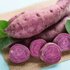 5 POUNDS Sweet Potato ALL PURPLE Yam Organic READY TO GROW