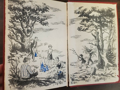 The Happy Hollisters On A River Trip by Jerry West Hardcover - Picture 8 of 10