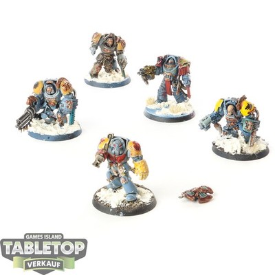Space Wolves - 5 Wolf Guard Terminators - bemalt