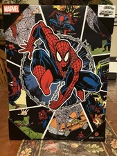 Marvel Comics The  Spider-Man Canvas Wall Art 12/16