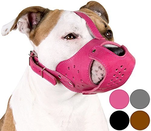 Dog Muzzle Pitbull Amstaff Basket Genuine Leather Staffordshire