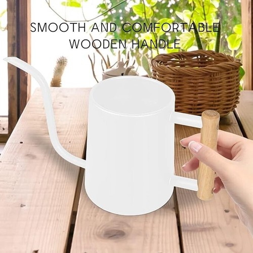 Indoor Plant Watering Can, 35 oz (1000 ml) Stainless Steel with Long Spout - Picture 7 of 25