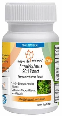 MAPLE LIFESCIENCES Artemisia Annua 20:1 Extract Capsules Artemisinin Pure & High Quality