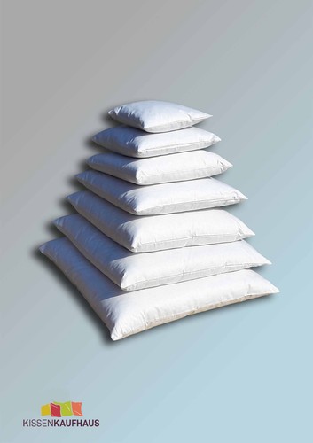 50 x 50 cm Füllkissen mit praller 850 g Federfüllung Innenkissen Sofakissen - Bild 5 von 8