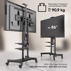 Zdjęcie 5 z 10