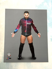 WWE Official Licensed Photofile 8x10 Photo Noam Dar NXT