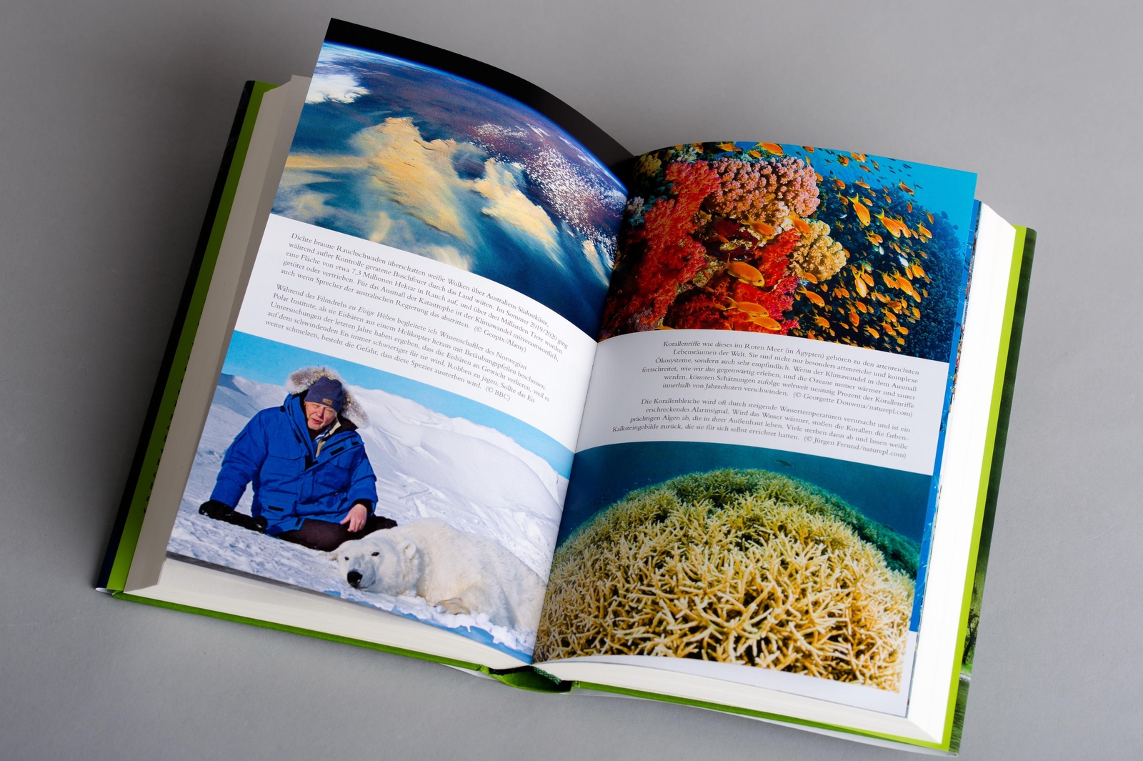 Thumbnail - Ein Leben Auf Unserem Planeten | David Attenborough | Buch | 304 S. |