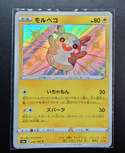 Shiny Morpeko S 243/190 Shiny Star  HOLO NM PCG Nintendo/JAPANESE Pokemon Card