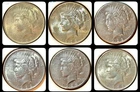 Lot of 6 1922 1923 1924 $1 PEACE 90% SILVER DOLLARS