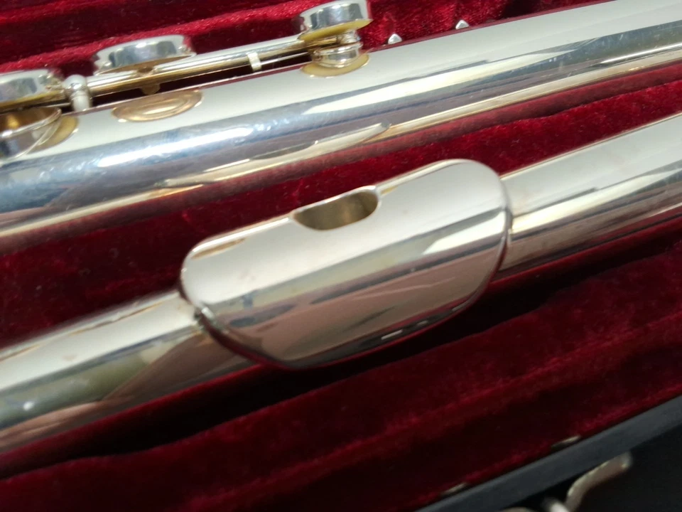 Andreas Eastman EFL210 Флейта с Чехлом - ОТЛИЧНОЕ СОСТОЯНИЕ - RTP - Изображение 4 из 4