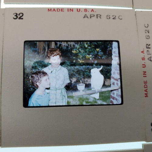 40+ Vtg 1960s Florida Easter Kodachrome Color Slides – MCM Family Vacation Retro - Picture 3 of 15