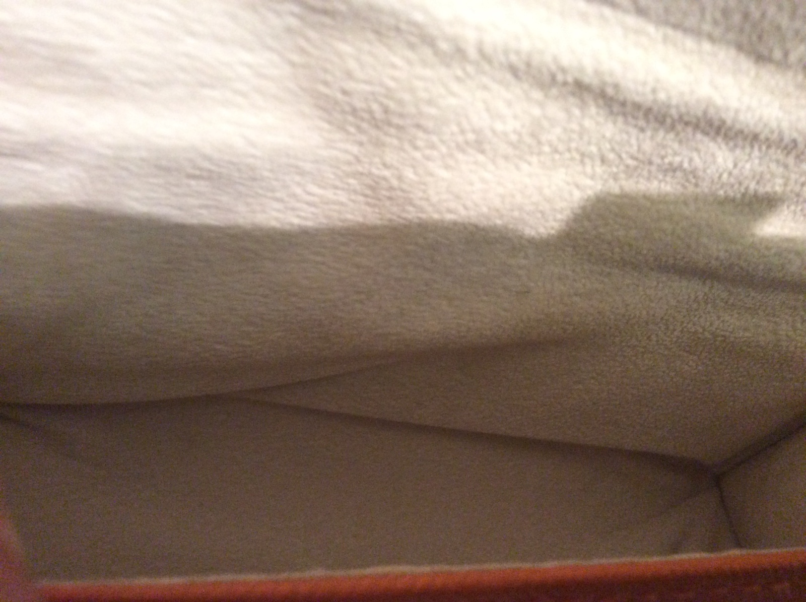 Picture 6 of 6