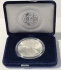 1996 American Silver Eagle $1 Dollar .999 Silver Coin in Presentation Case