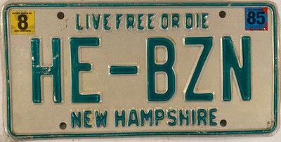 Vanity HE BZN BUZZING BUSSING license plate Bus Travel ???