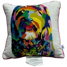 Dog Pillow Rainbow - Target - Tabitha Brown Colorful Embroidered 12"