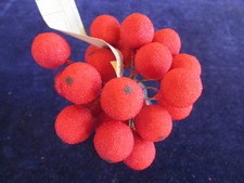 Vintage Millinery Flower Berry 5/8" True Red Sugared Fruit 24pc Bunch KZ15