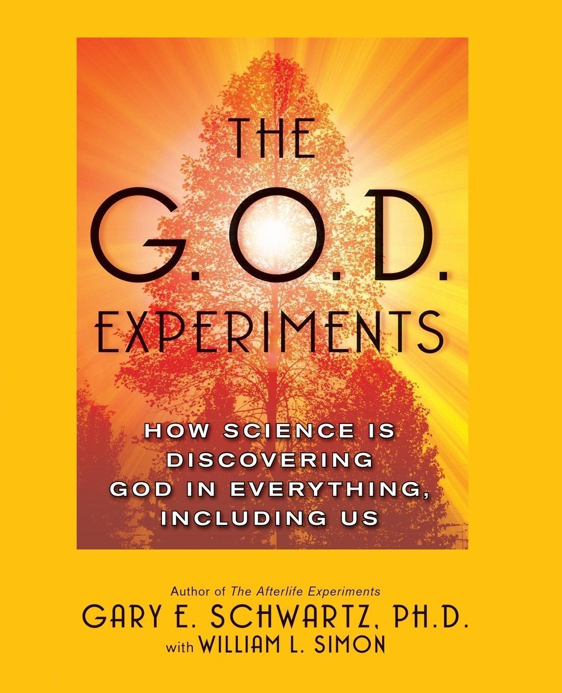 Thumbnail - G.o.d. Experiments | Gary E. Schwartz | Taschenbuch | Paperback |