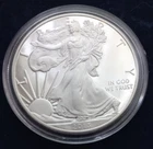 2013 W Proof American Silver Eagle 1 Oz Silver/Capsule