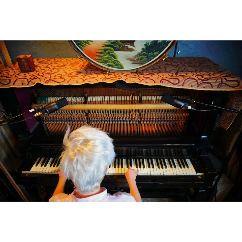 SE electronics X1S - Bild 2 von 4