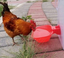Large Automatic Cup Water Feeder Duck Geese Poultry Bird Water Dispenser H33