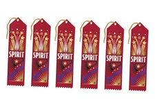  Spirit Award Ribbons, 2 by 8-Inch, Multicolor, 6-Pack 