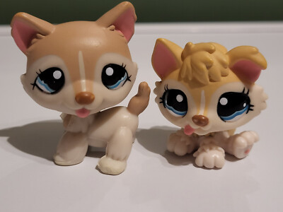 Figurine Littlest Pet Shop (LPS) #70 - Chien Husky - Occasion - Marque Hasbro