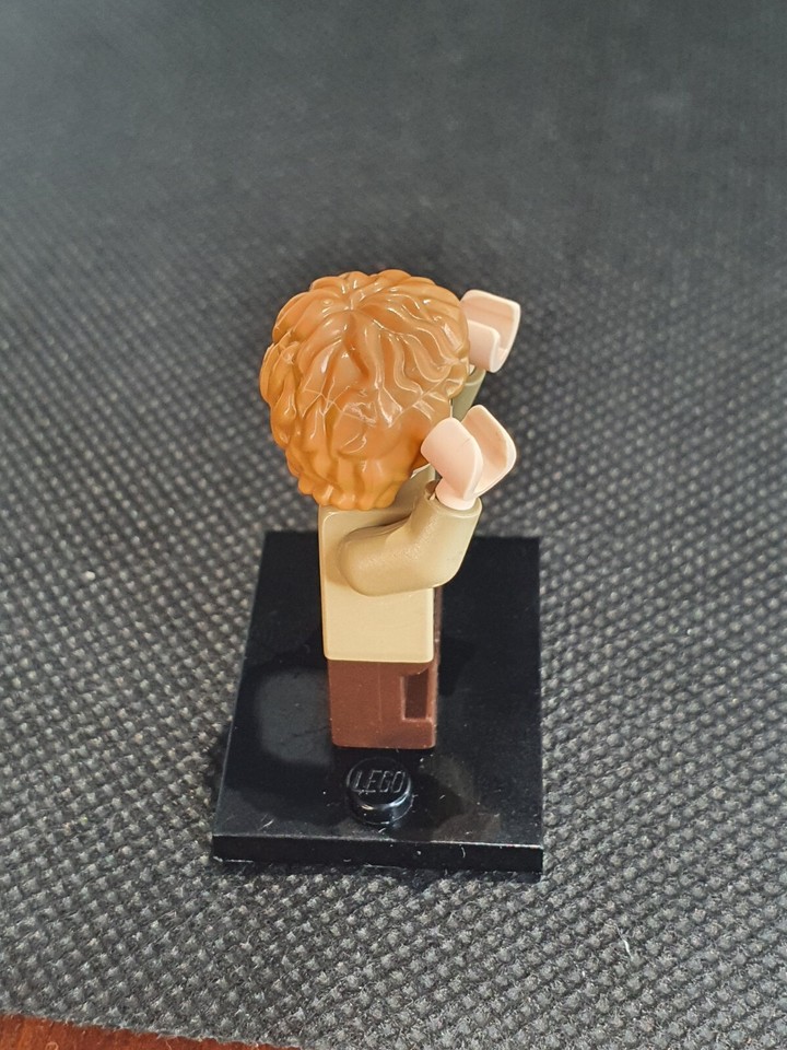 Lego LOTR Samwise Gamgee Minifigure | eBay Australia