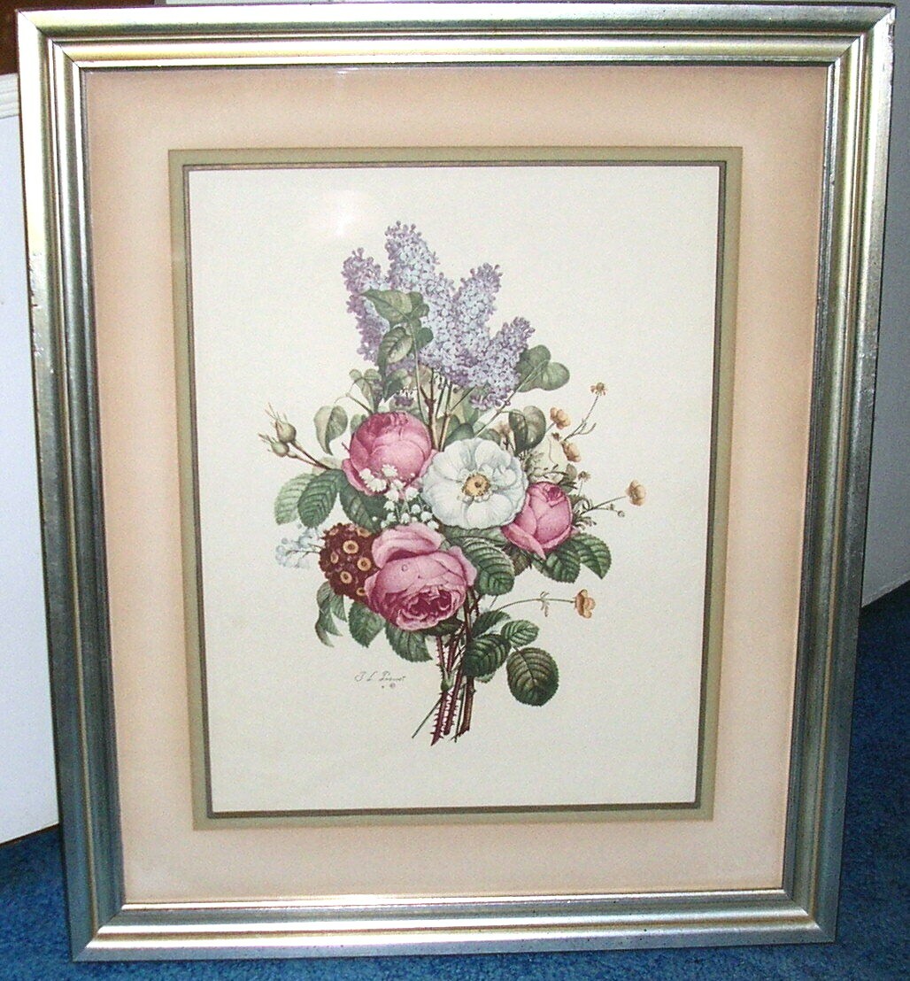 1930's JEAN LOUIS PREVOST Framed Botanical Print Sidney Z Lucas