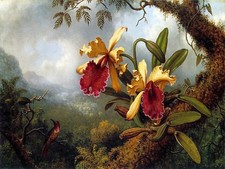 Orchids and Hummingbird by M. Heade Tile Mural Kitchen Backsplash Ceramic 10x8