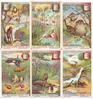 LIEBIG Bilder Serie A 887 "Seltsame Tiere"