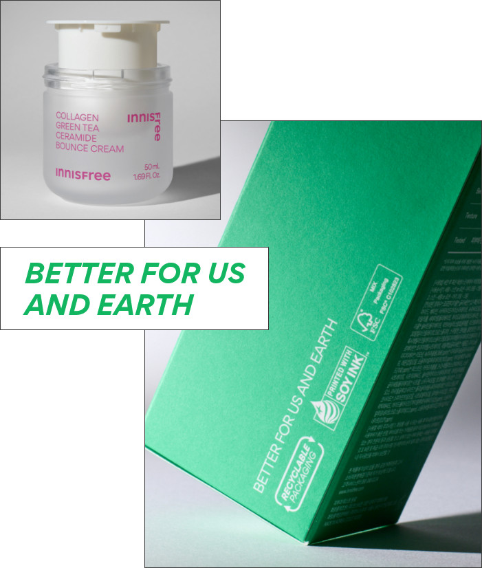 Innisfree Collagen Green Tea Ceramide Bounce Cream