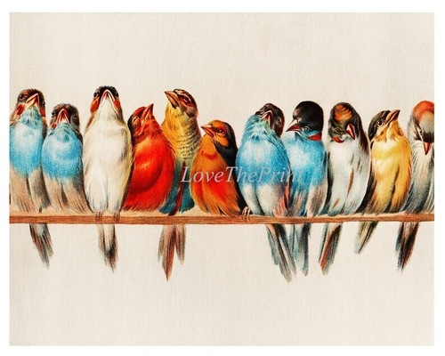 Vintage Birds Wall Art Print Set of 2 Beautiful Antique Red Cardinal Unframed - Picture 3 of 7