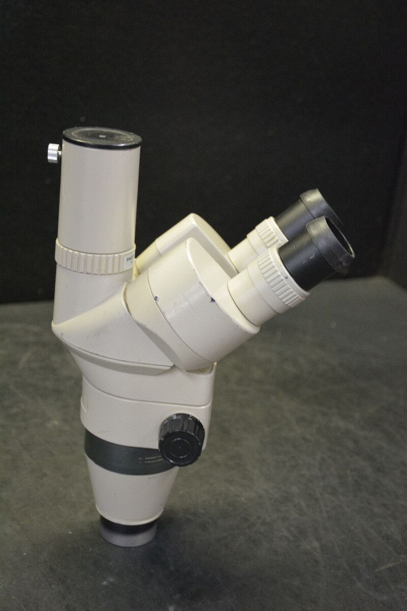 Nikon SMZ-2T Stereo Zoom Microscope Head with Eyepieces | eBay