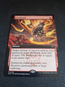 Flashback 333 - Extended Art Rare - Secrets of Strixhaven - MTG