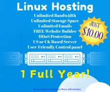 FAST and Affordable Linux-Based Hosting 1 Year