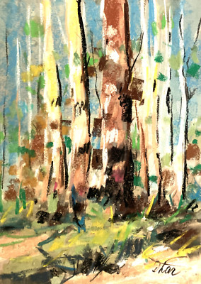 birches trees landscape Pastel Painting Drawing Dorothy Laz 
