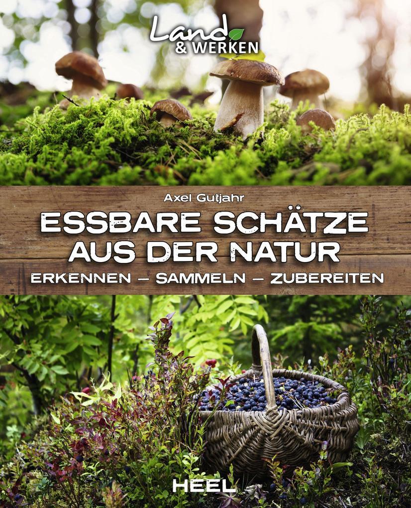 Thumbnail - Essbare Schätze Aus Der Natur: Erkennen - Sammeln - Zubereiten | Axel