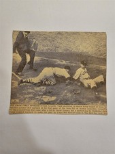 Frank Crosetti Bob Garback Oscar Grimes Bill Stewart 1945 Baseball Picture