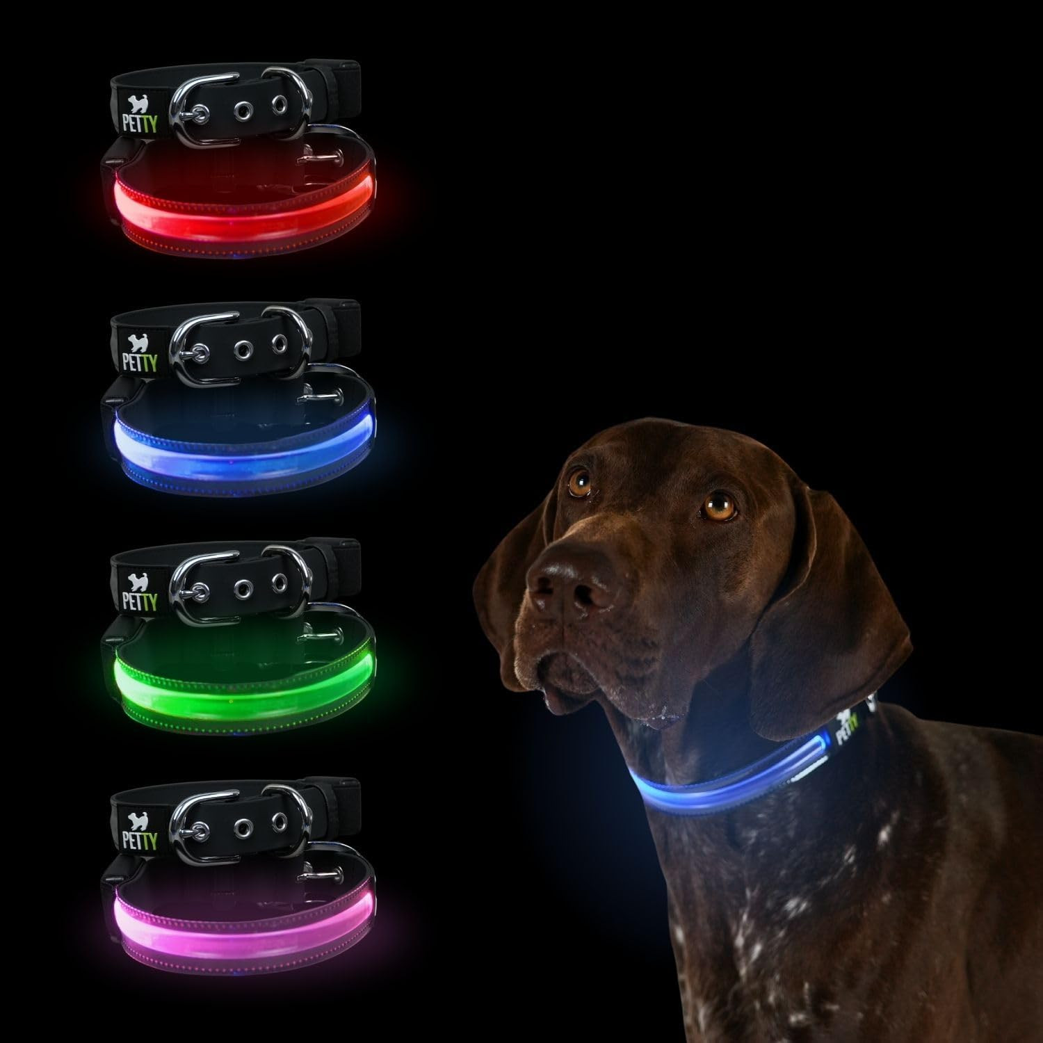 Collare Cane Biothane LED Petty Italia: Sicurezza Notturna Professionale