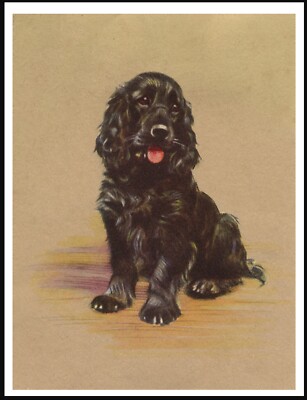COCKER SPANIEL BLACK DOG SITTING LOVELY VINTAGE STYLE DOG ART PRINT ...